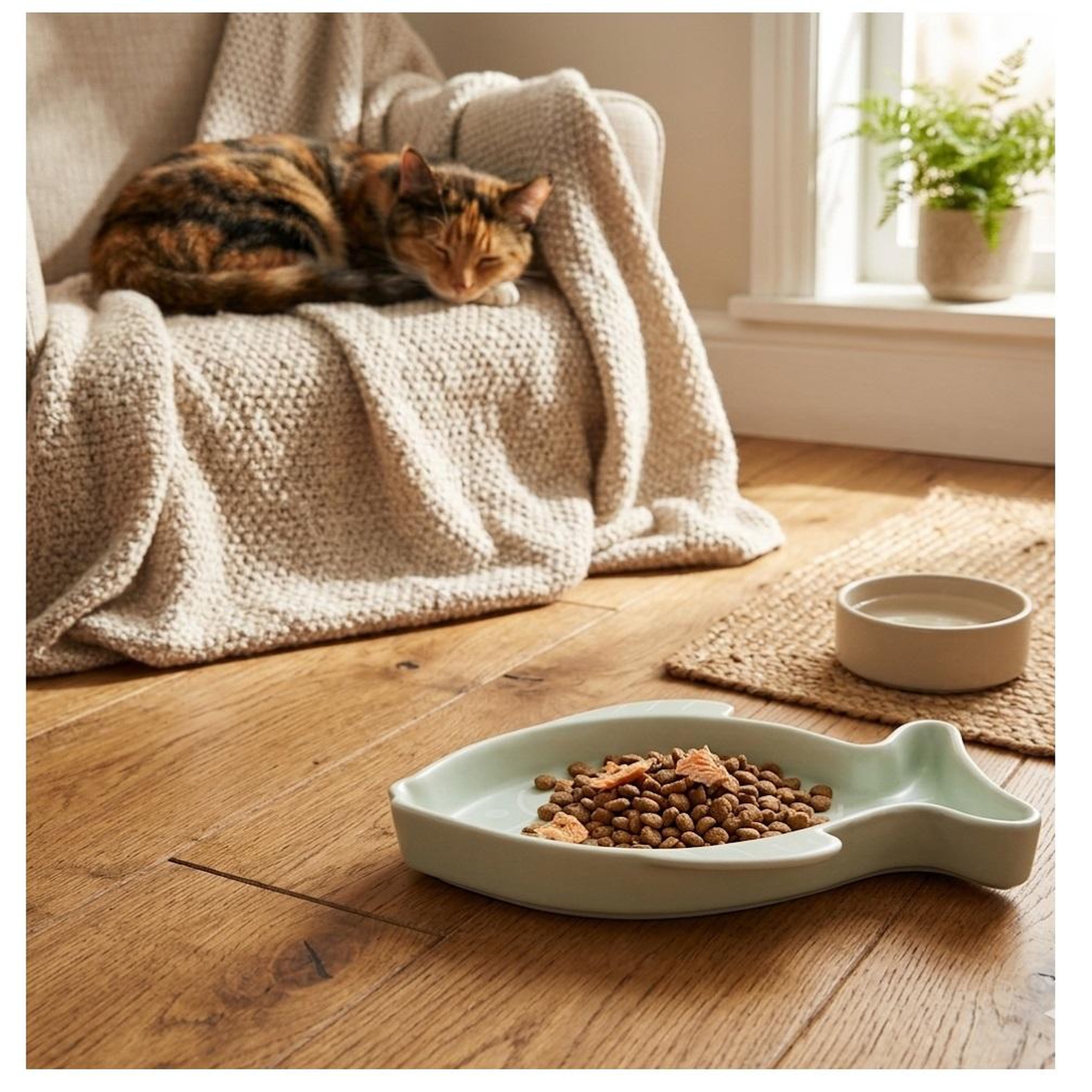 Voir la diapositive 2 : Eden Gamelle pour chat nourriture et eau fishie