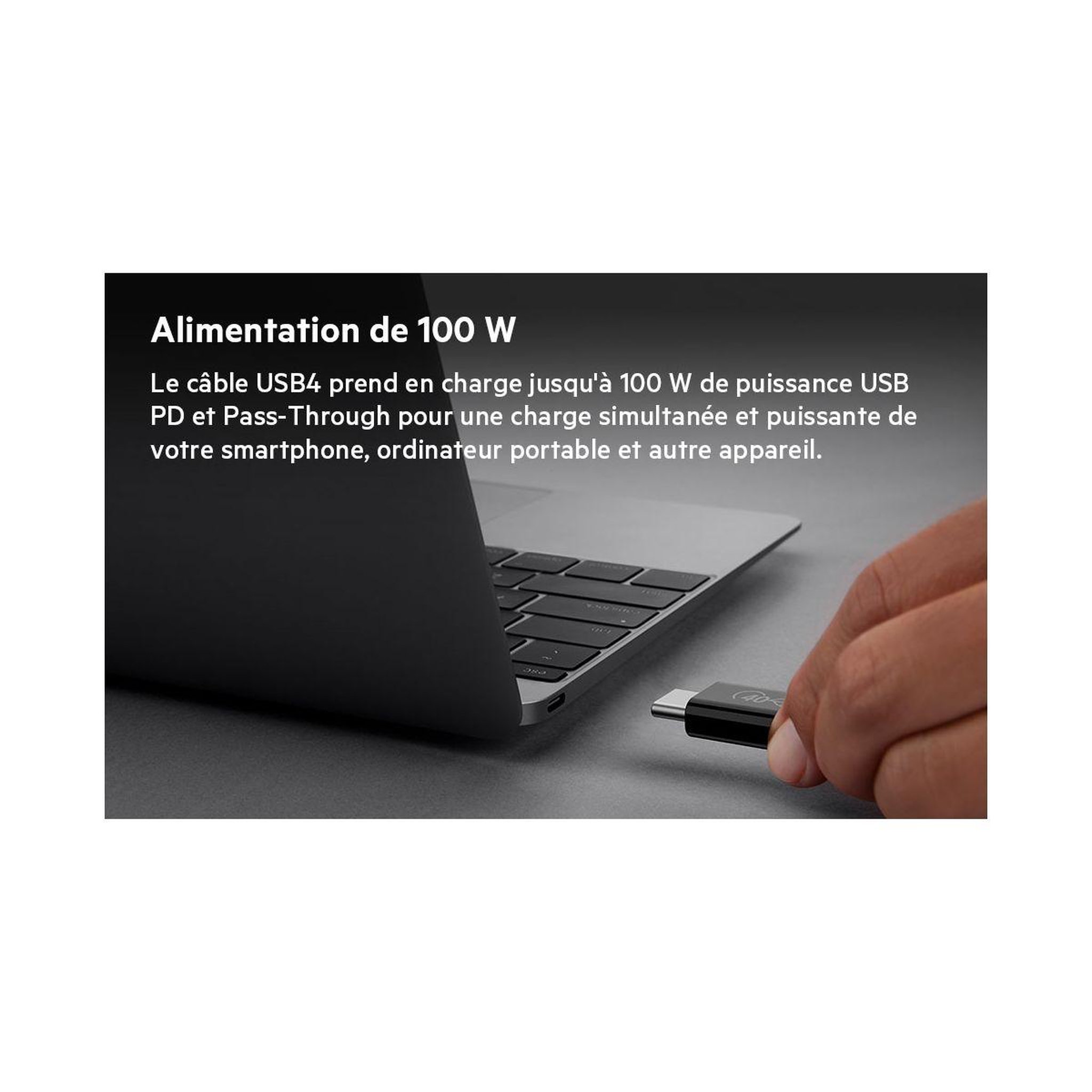 Voir la diapositive 4 : Belkin Adaptateur usb c usb 4 c 0.80m