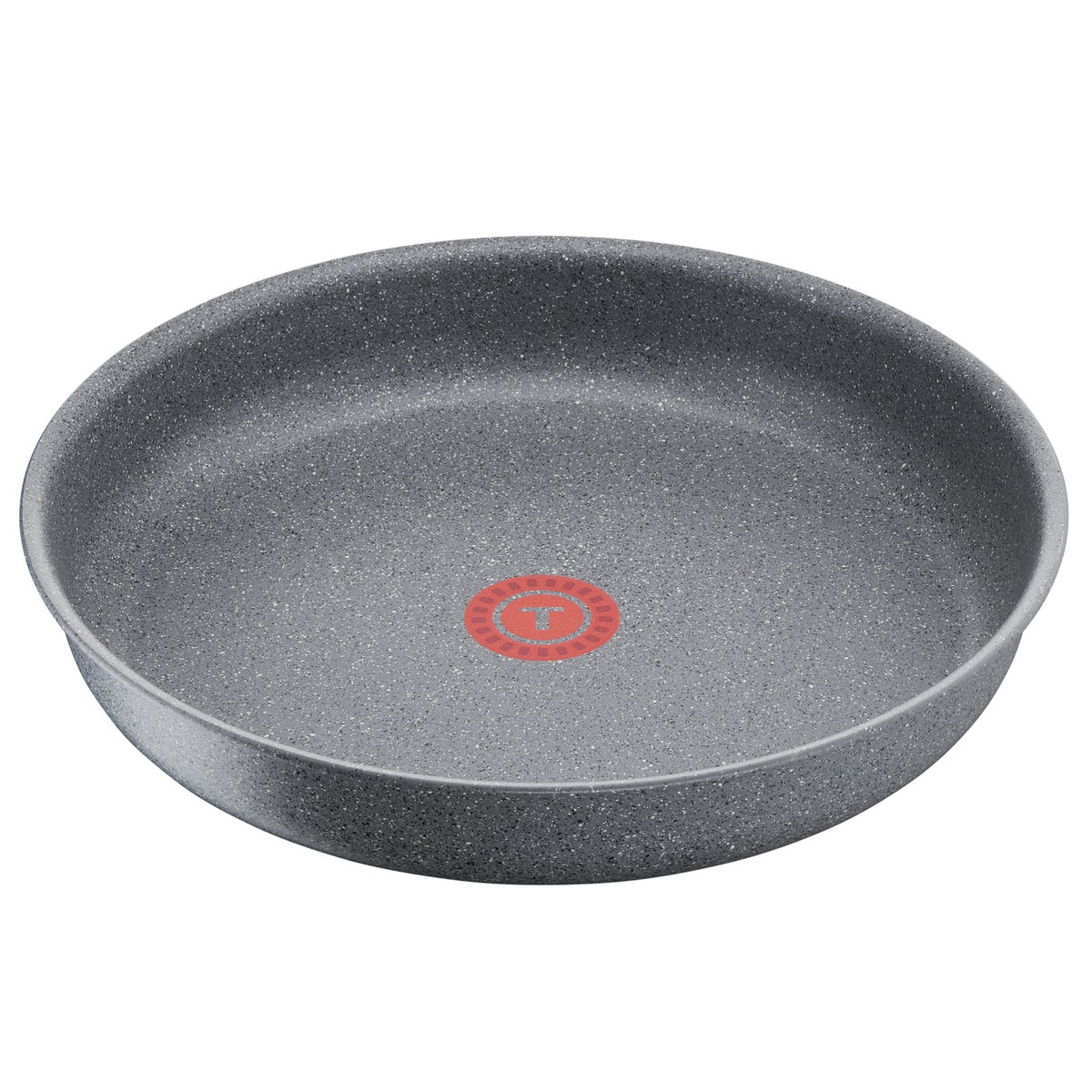 TEFAL poêle 26cm grise en aluminium INGENIO MINERALIA FORCE