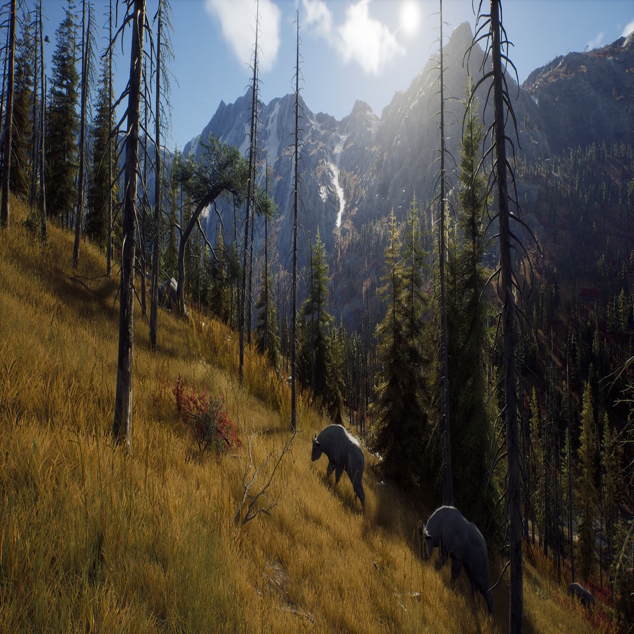 Voir la diapositive 5 : Way Of The Hunter PS5