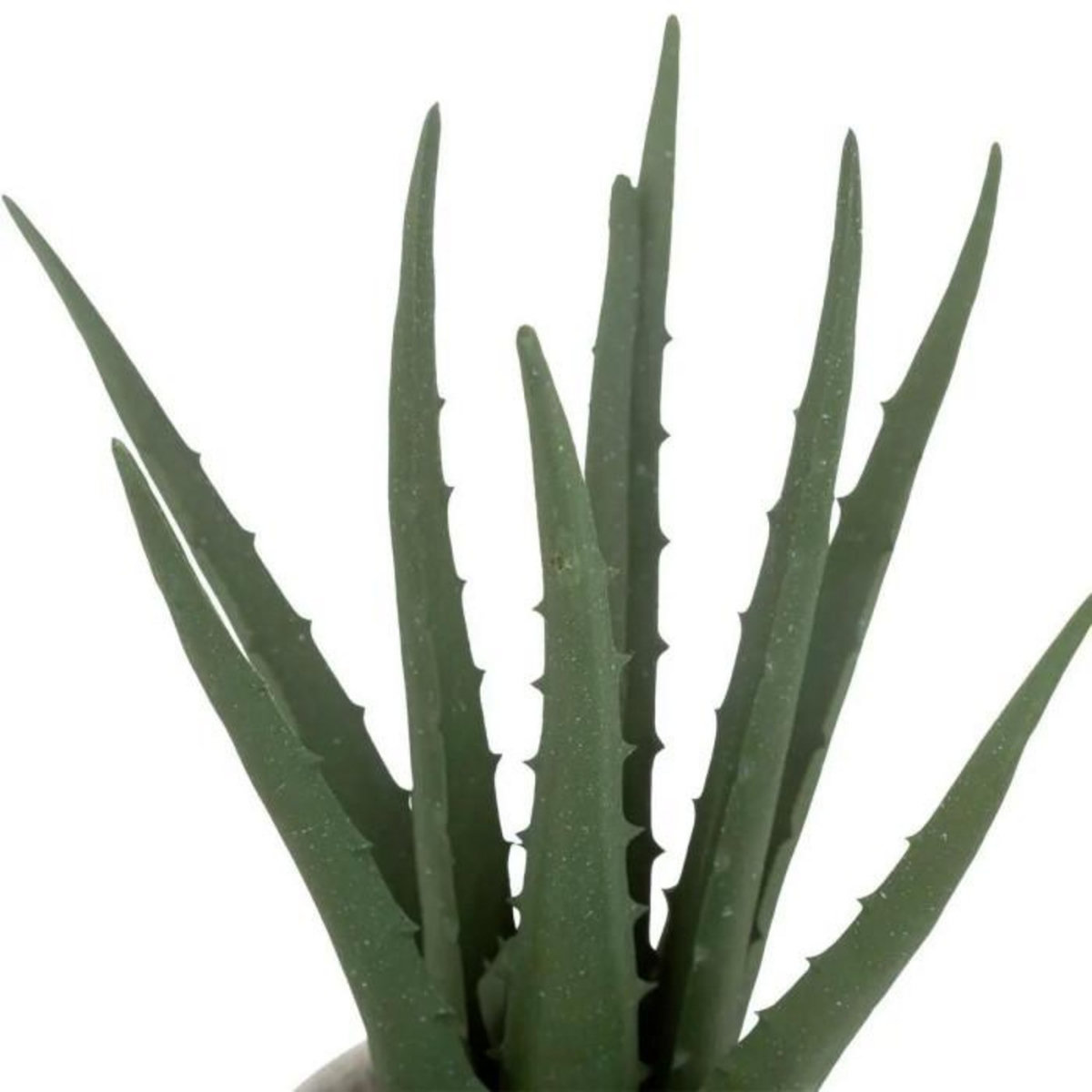ATMOSPHERA Plante Artificielle en Pot  Aloe  29cm Vert & Beige
