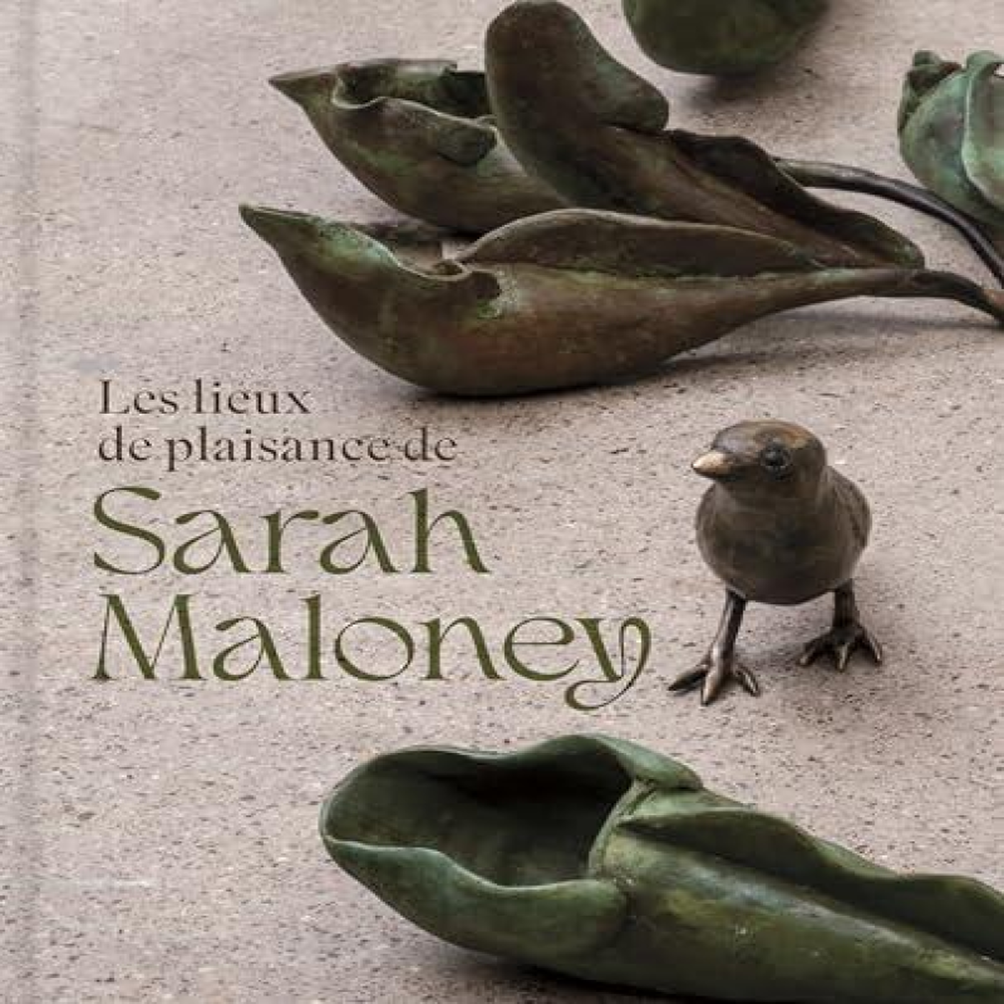 LIVRES Les lieux de plaisance de Sarah Maloney