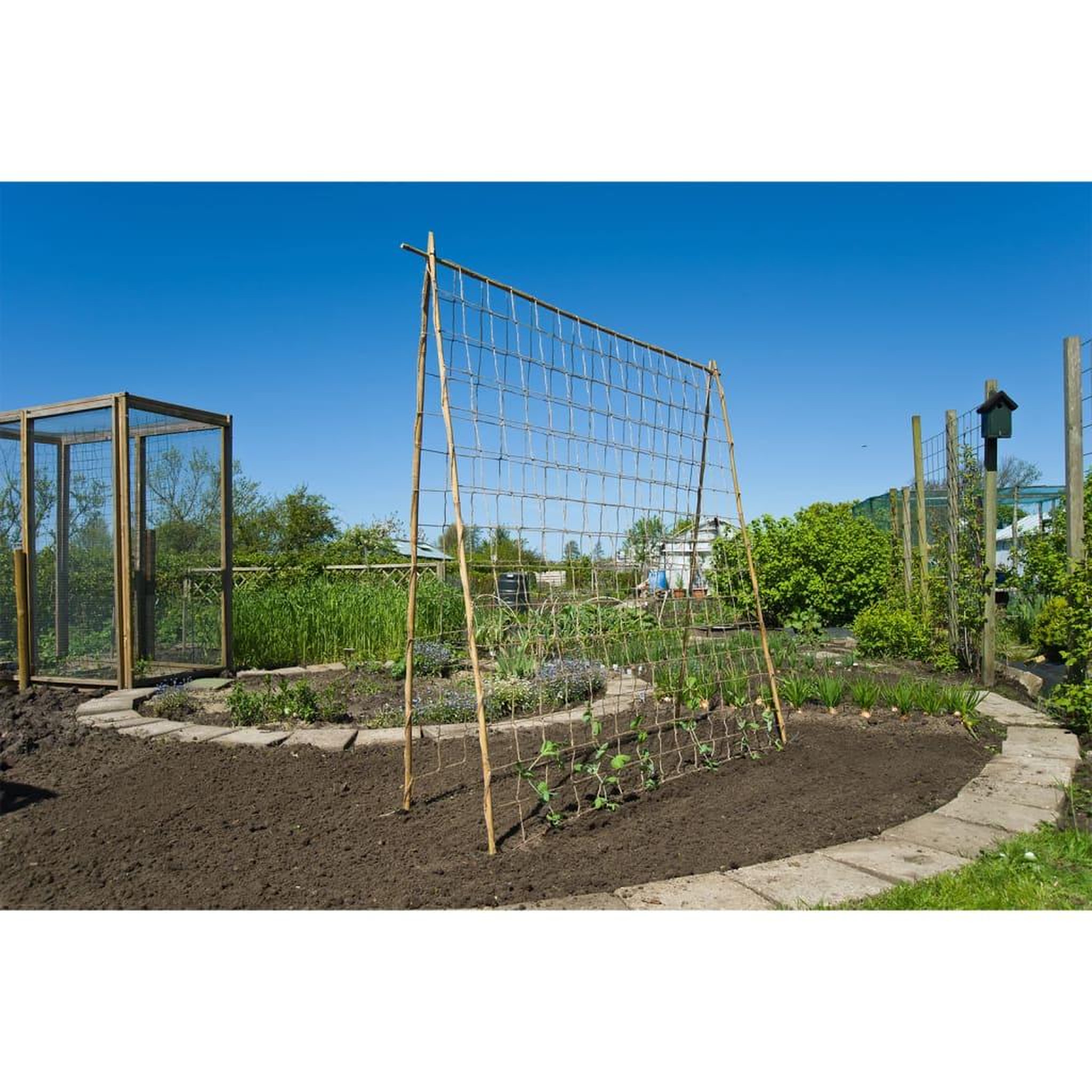 Voir la diapositive 1 : NATURE Nature Filet pour plantes grimpantes en jute 1x3 m naturel