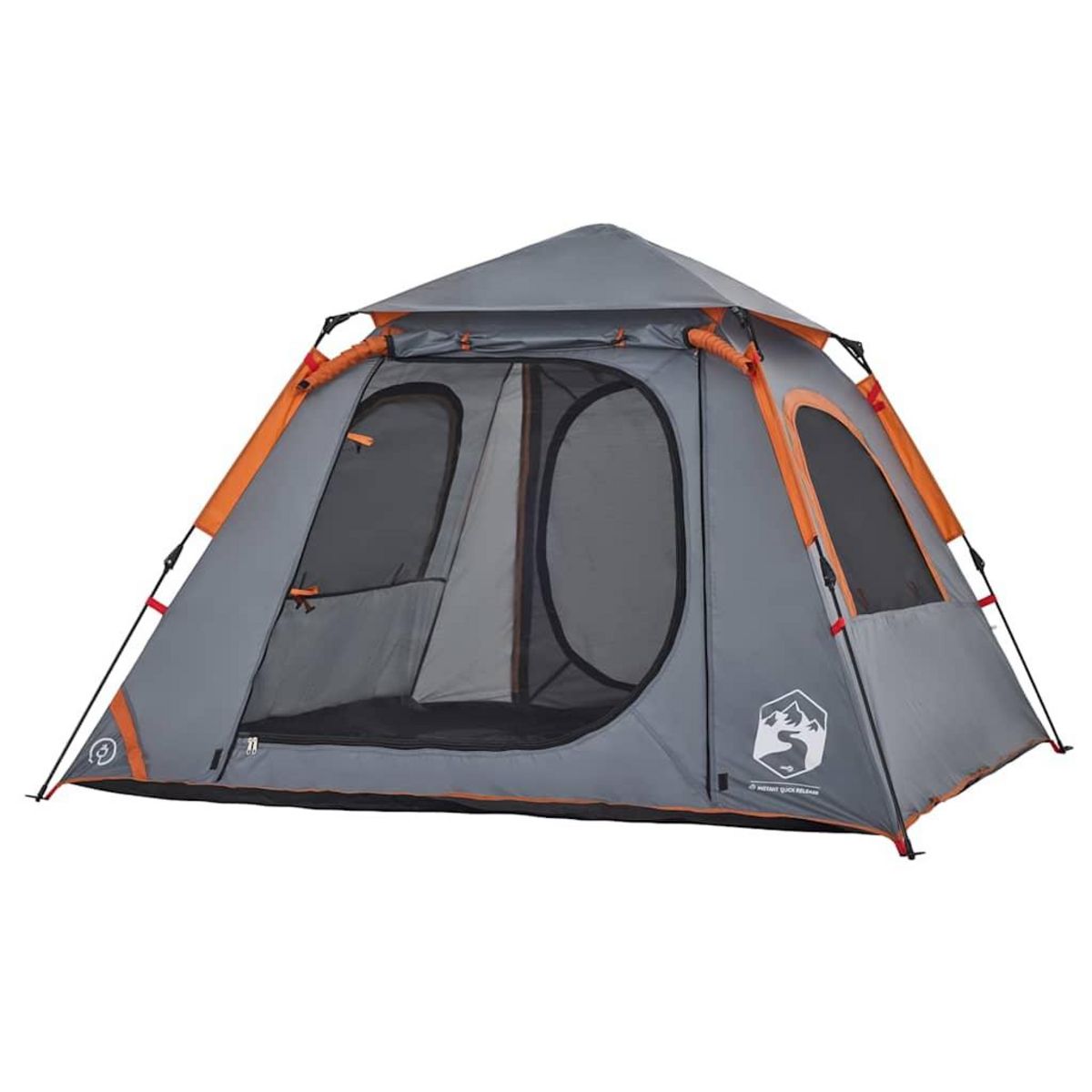 VIDAXL Tente de camping a dome 4 personnes liberation rapide