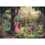 Voir la diapositive 2 : Schmidt Puzzle - Disney La belle au bois dormant - 1000 pièces