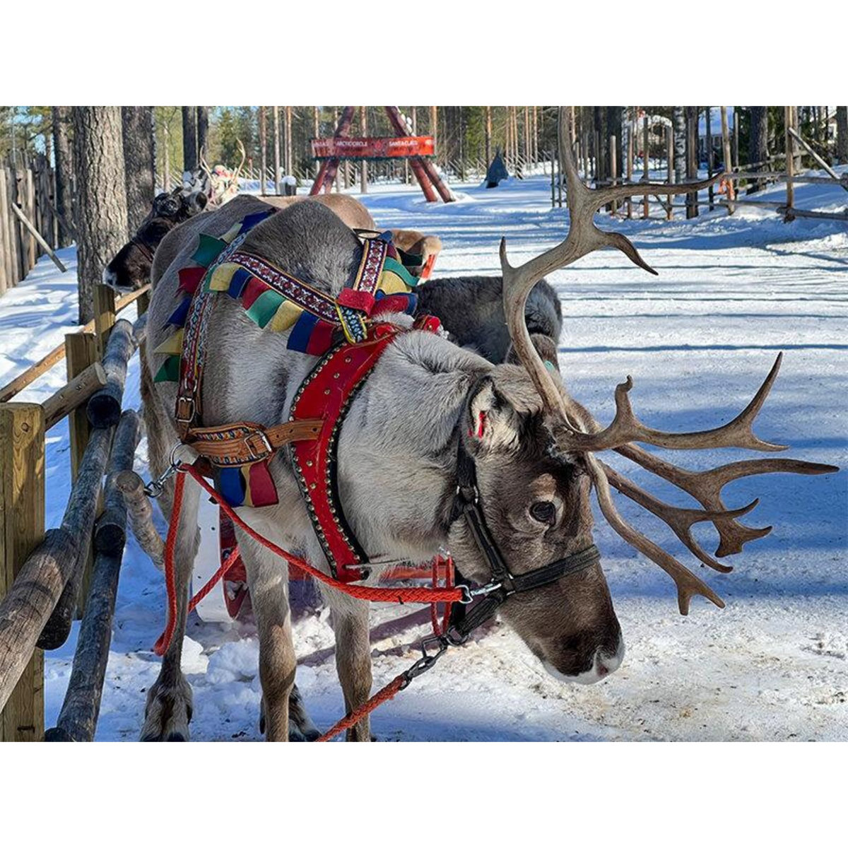 Smartbox 4 jours à Rovaniemi avec excursion en motoneige et visite du village du Père Noël - Coffret Cadeau Séjour