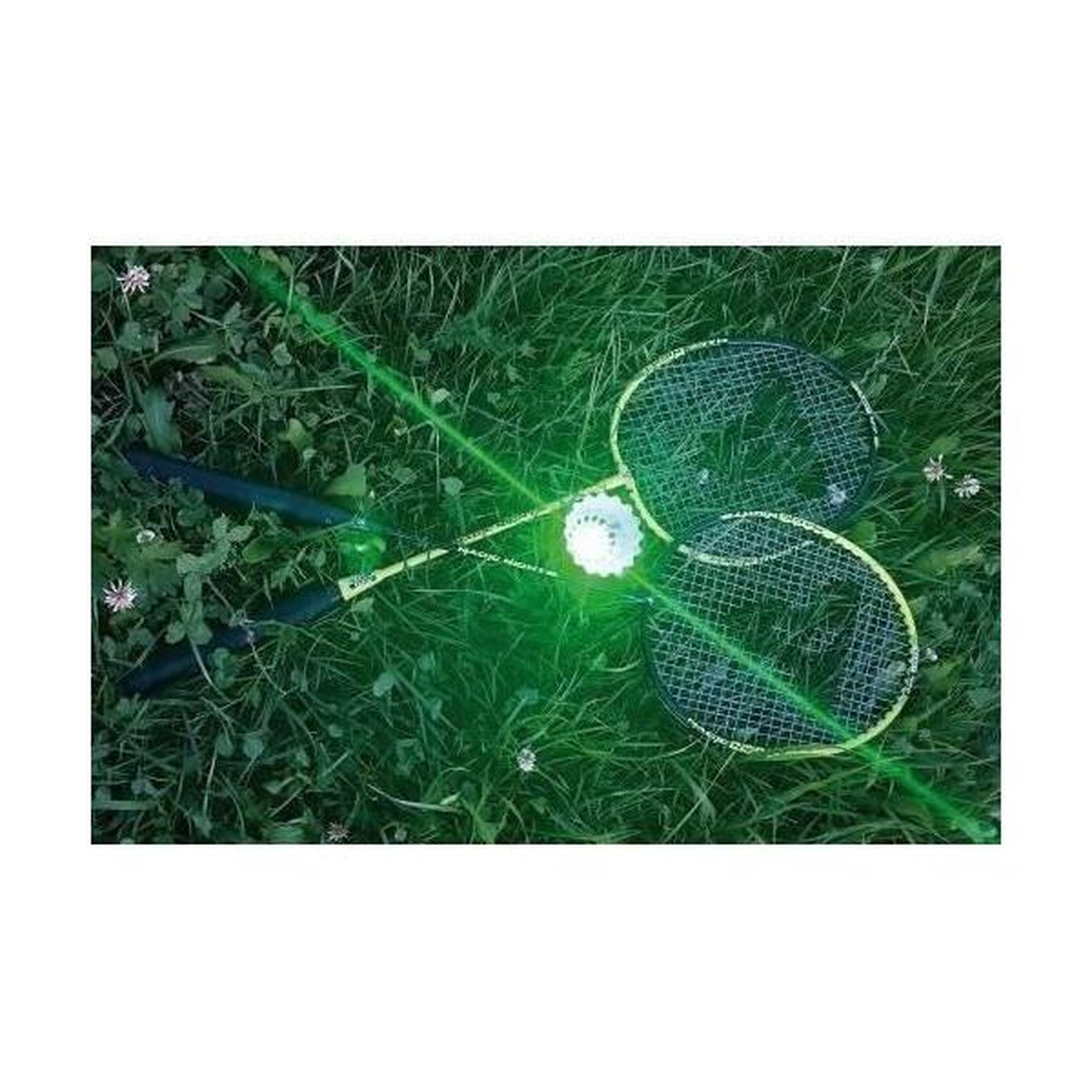 Voir la diapositive 5 : SCHILDKROT Raquette de badminton talbot torro set badminton magic night led