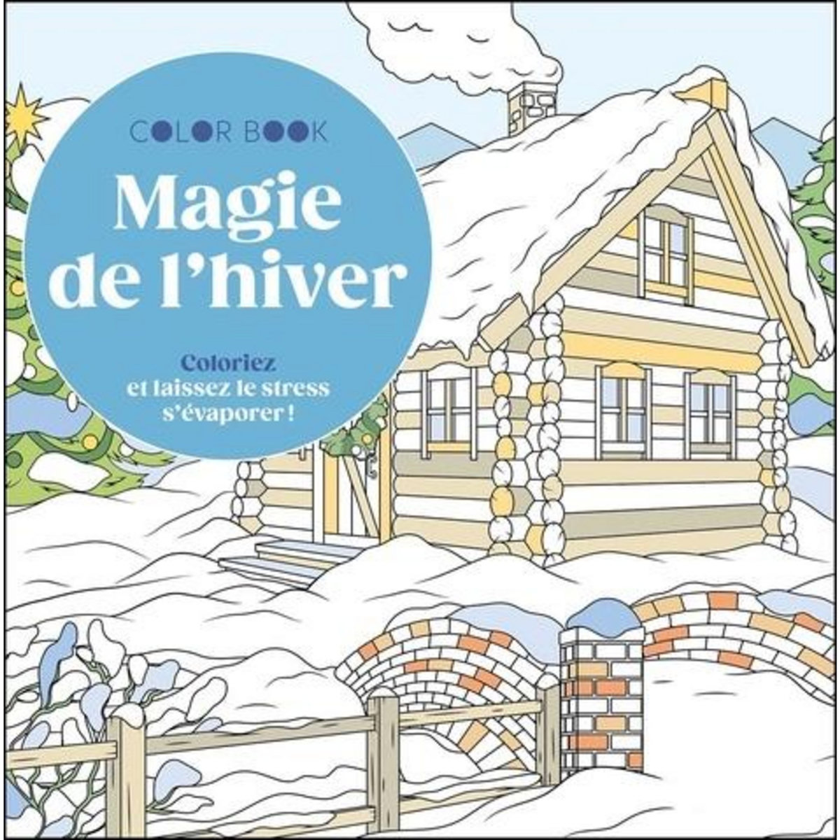 MAGIE DE L'HIVER. COLORIEZ ET LAISSEZ LE STRESS S'EVAPORER !, Leduc créatif