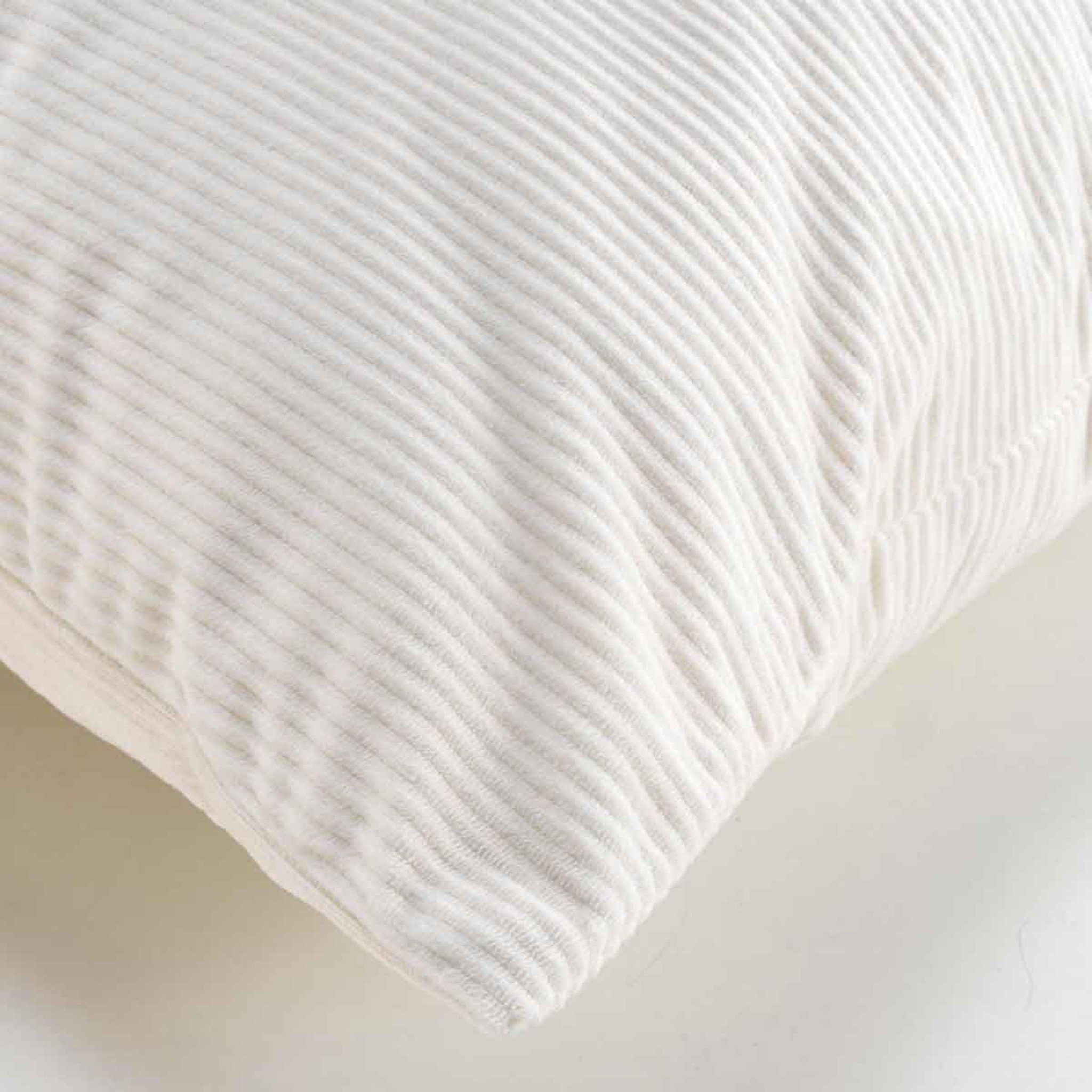 Voir la diapositive 3 : Douceur d'Intérieur Coussin déco en velours  casual  60x60cm naturel