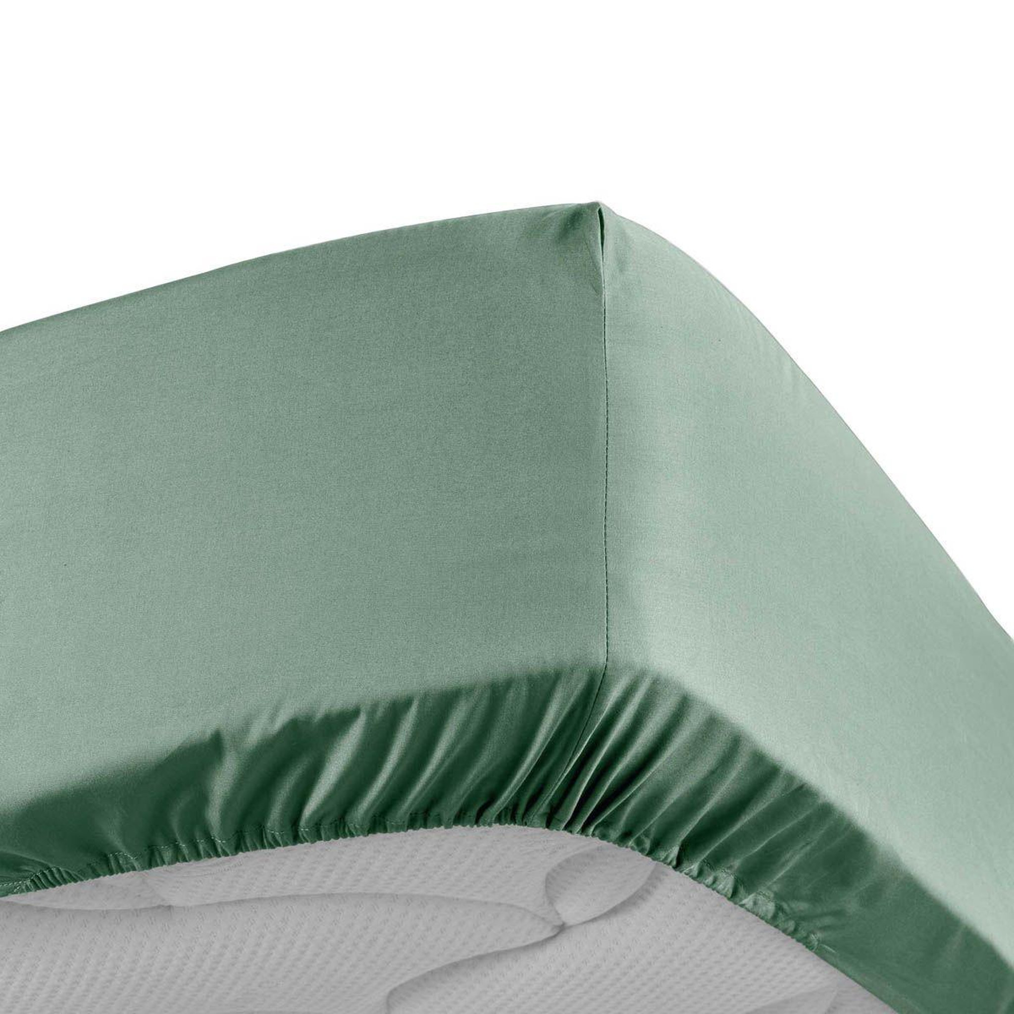 Douceur d'Intérieur Drap housse  percaline  90x190cm tilleul