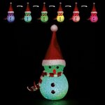 FEERIC LIGHT & CHRISTMAS Décoration Lumineuse  Bonhomme de Neige  10cm Multicolore