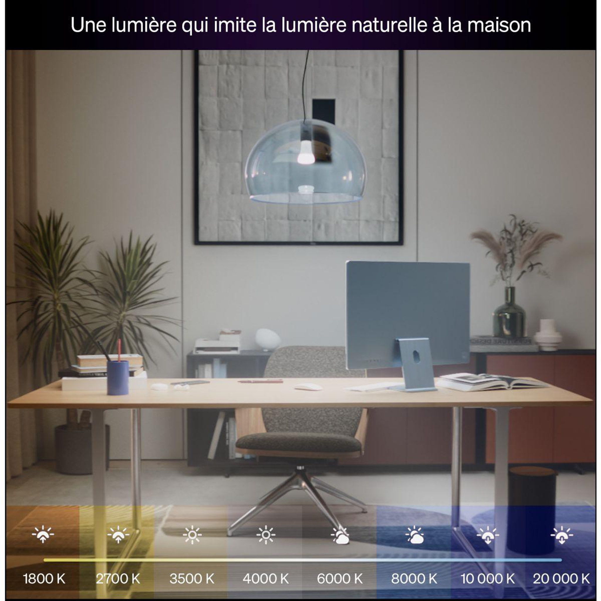 Voir la diapositive 3 : PHILIPS HUE Ampoule led connectée e27 white&color ambiance 100w