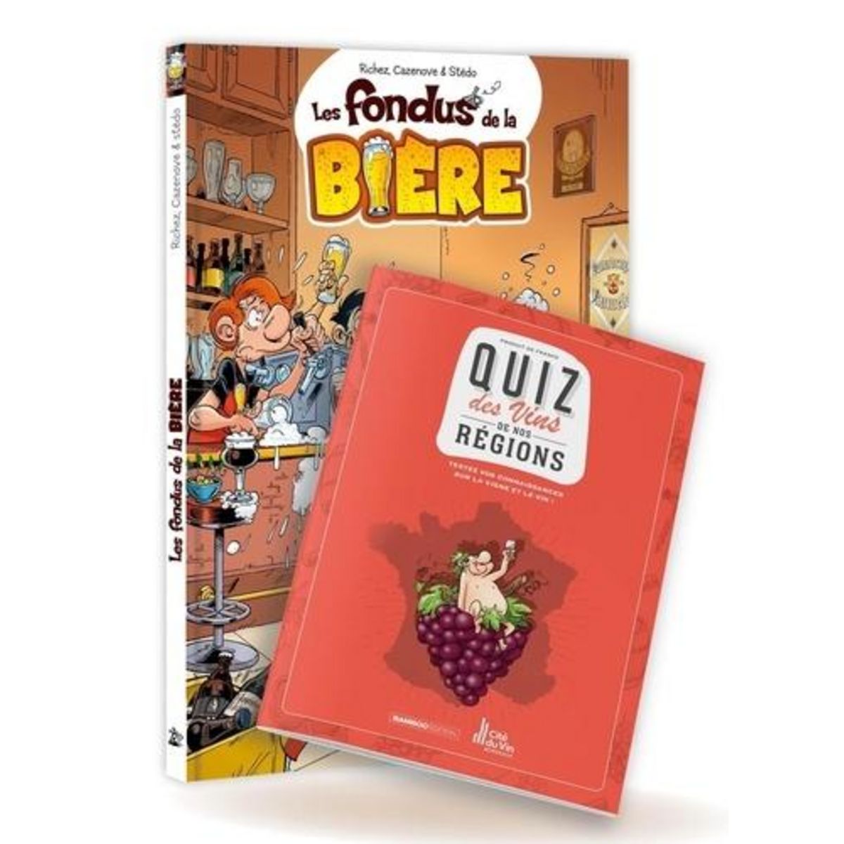 LES FONDUS DE LA BIERE. AVEC LE QUIZ DES VINS DE NOS REGIONS, Richez Hervé