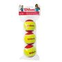 Voir la diapositive 1 : WILSON X3 Balles de Tennis /Rouge Wilson Starter
