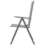 Voir la diapositive 5 : VIDAXL Chaises empilables de jardin lot de 2 Acier Gris
