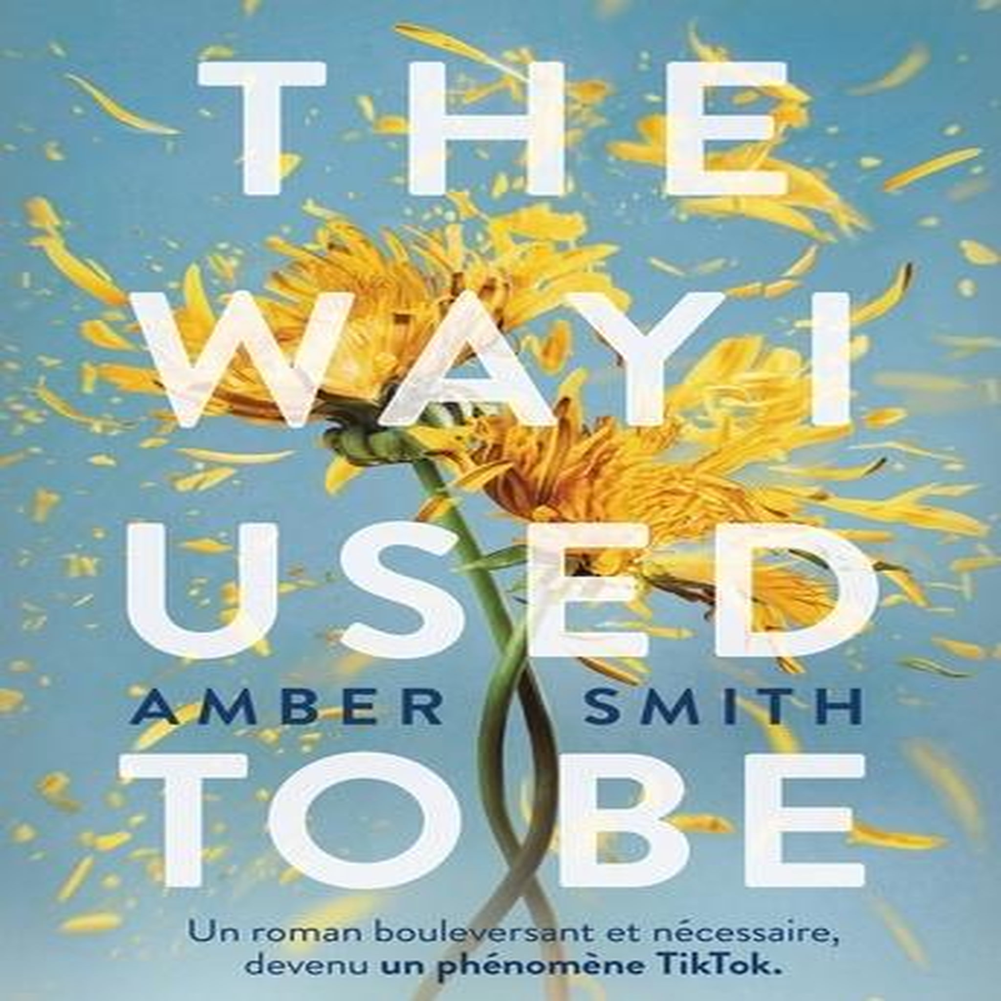 THE WAY I USED TO BE TOME 1 , Smith Amber