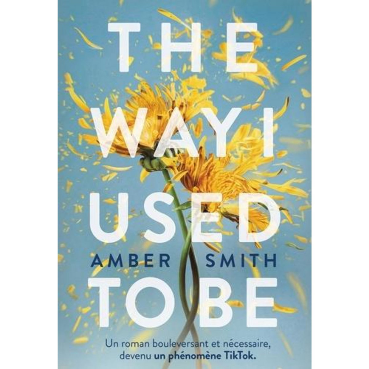 THE WAY I USED TO BE TOME 1 , Smith Amber
