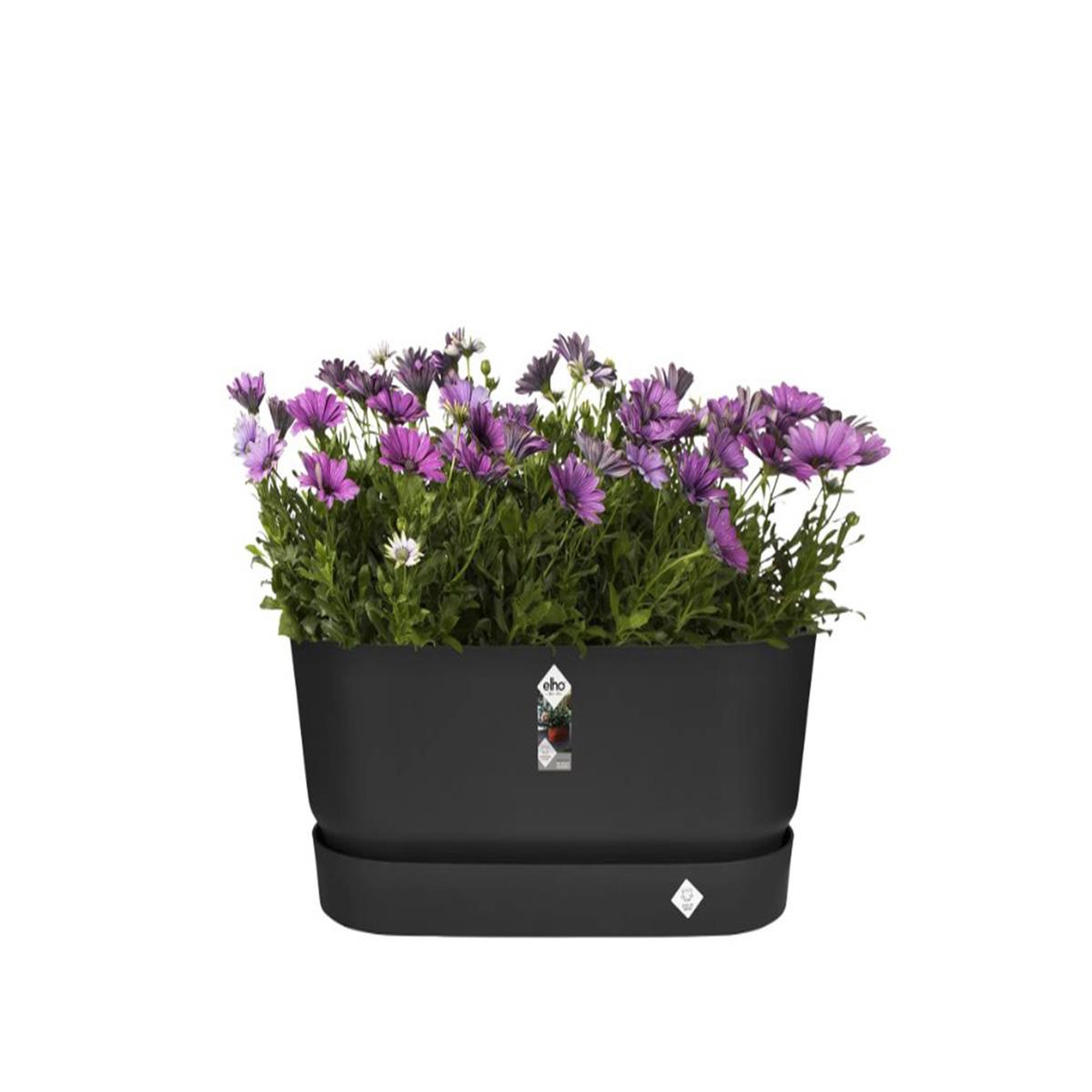 Voir la diapositive 6 : ELHO Jardinière Greenville Terrasse 60 x 26 x 24,4 cm avec roulettes - Noir - Elho