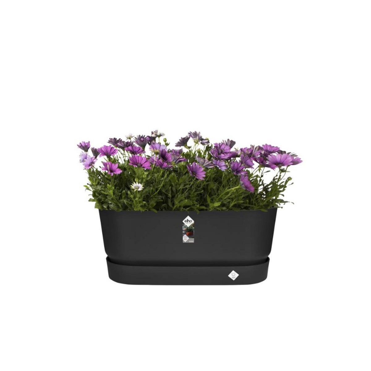 ELHO Jardinière Greenville Terrasse 60 x 26 x 24,4 cm avec roulettes - Noir - Elho