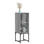 Voir la diapositive 5 : VIDAXL Armoire laterale avec porte en verre sonoma gris 35x37x100 cm