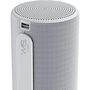 Voir la diapositive 3 : LOEWE Enceinte portable Bluetooth Loewe We. HEAR 2 Gris