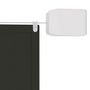 Voir la diapositive 4 : VIDAXL Auvent vertical Anthracite 100x420 cm Tissu oxford