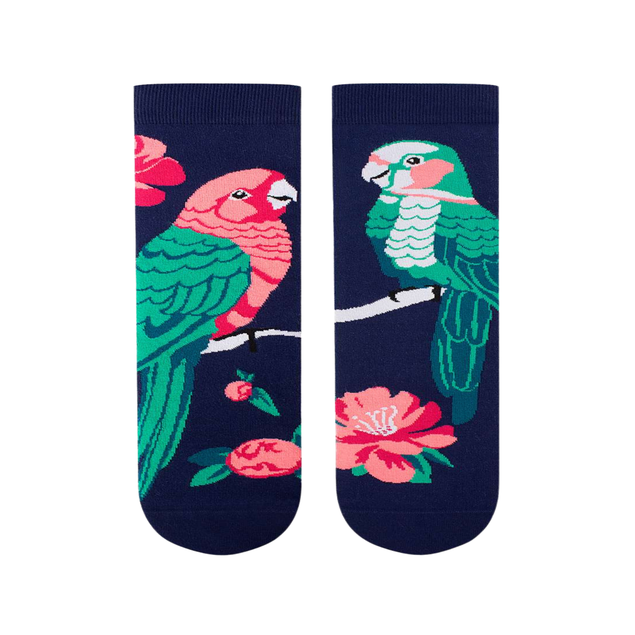 Voir la diapositive 2 : PIRIN HILL Chaussettes arty perroquets