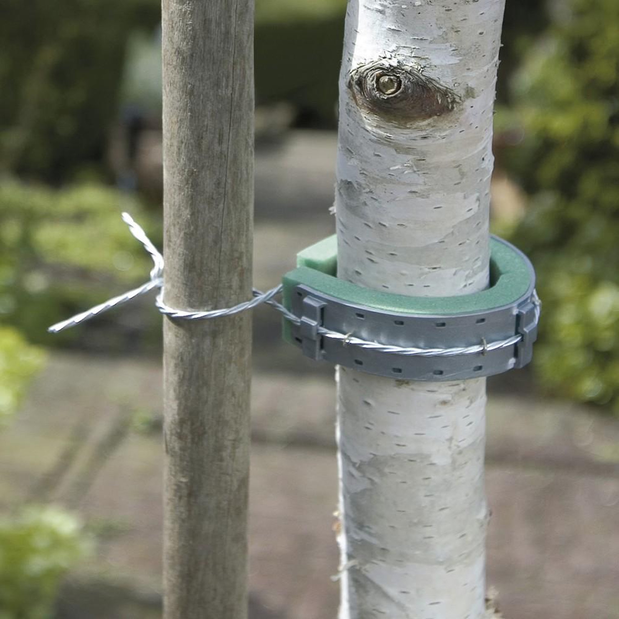 Nortene Collier pour arbres NORTENE, 0.6 m