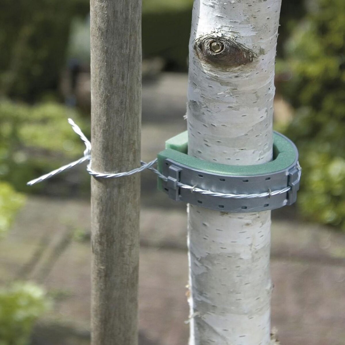 Nortene Collier pour arbres NORTENE, 0.6 m