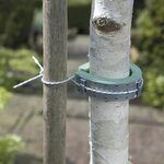 Nortene Collier pour arbres NORTENE, 0.6 m