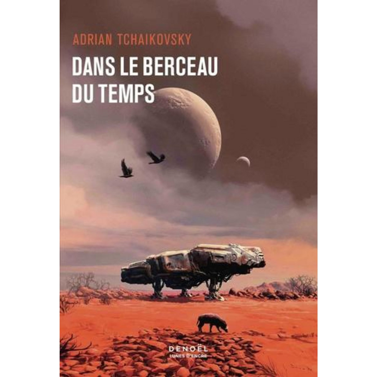 DANS LA TOILE DU TEMPS : DANS LE BERCEAU DU TEMPS, Tchaikovsky Adrian