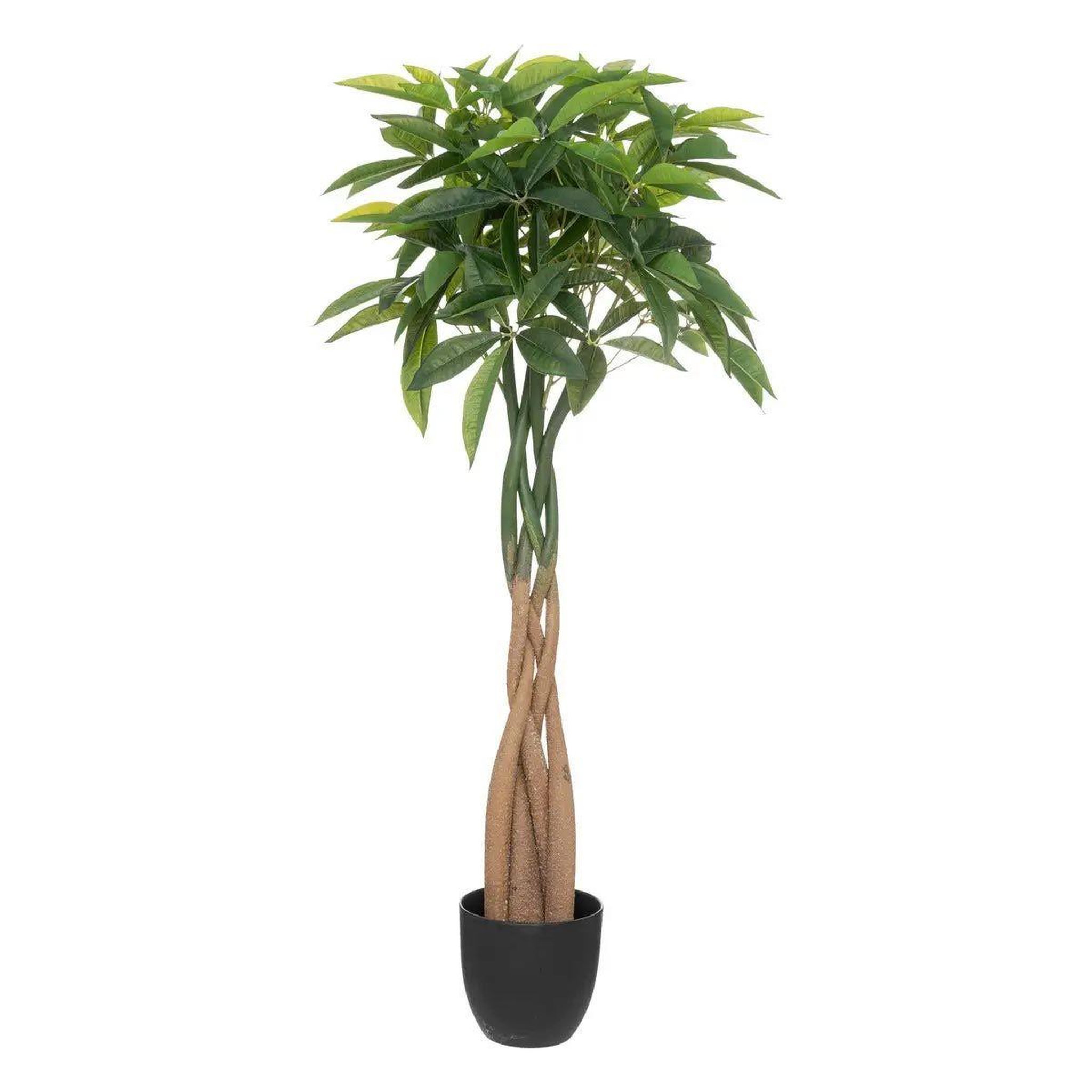 Voir la diapositive 1 : ATMOSPHERA Arbre pachira artificiel en pot  bota  120cm vert