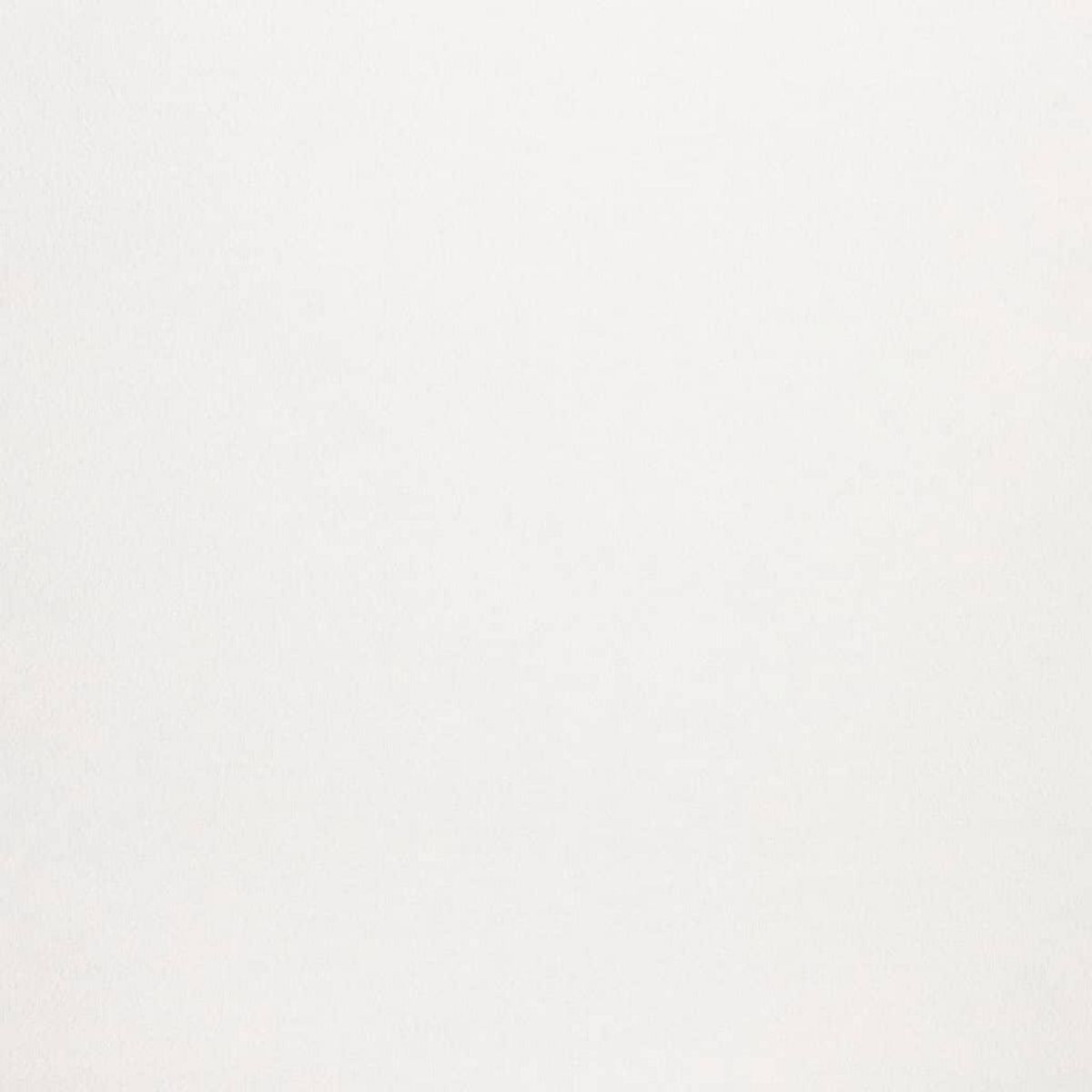 VIDAXL Papier peint 3D couleur unie creme 10x0,53 m non tisse