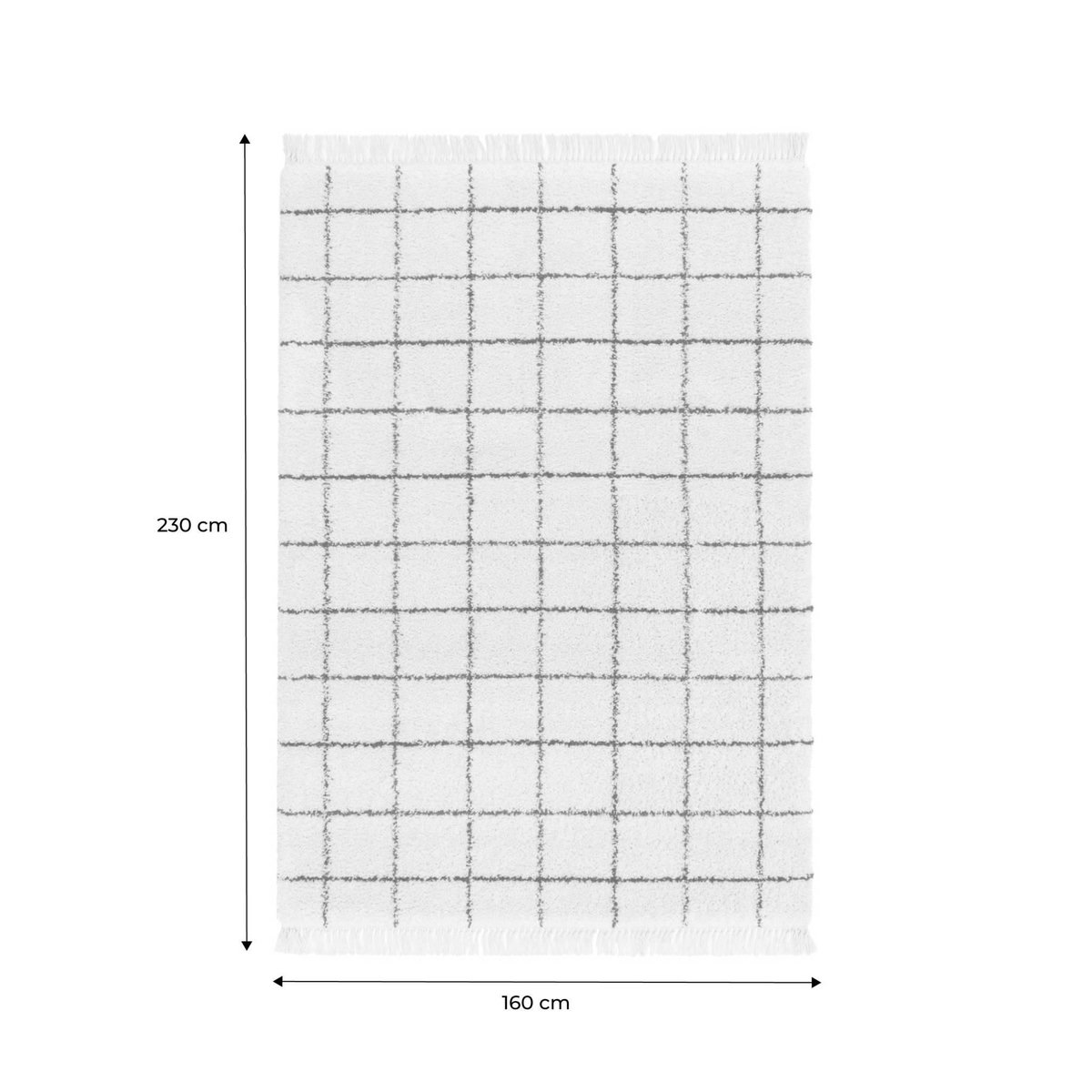 SWEEEK Tapis intérieur shaggy motif quadrillage multicolore avec franges Edward