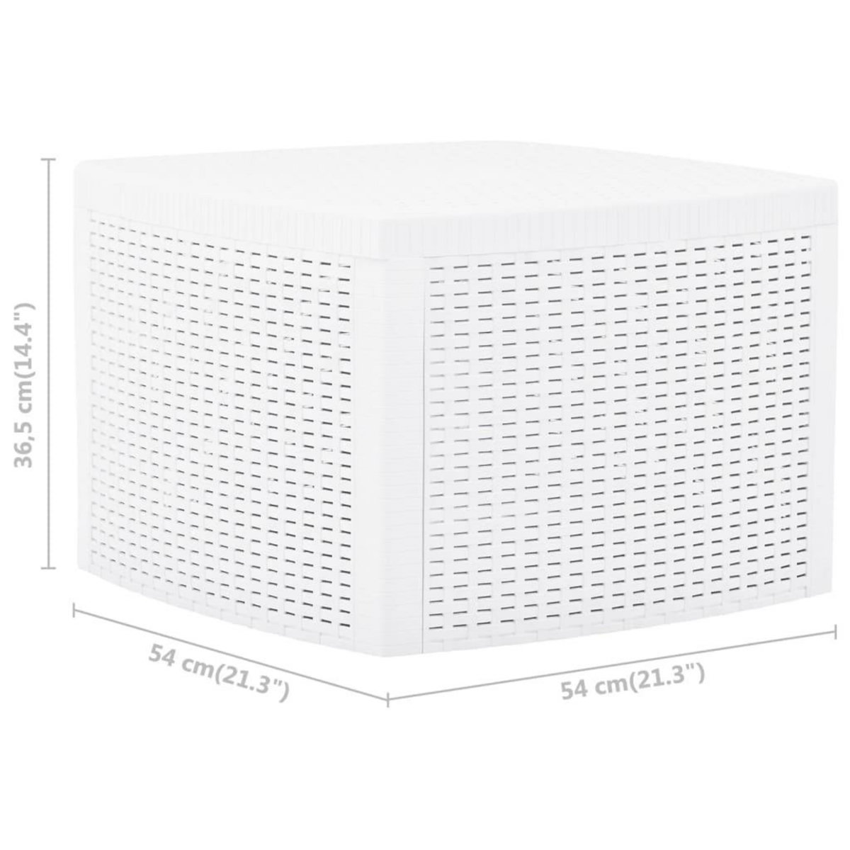 VIDAXL Table d'appoint Blanc 54x54x36,5 cm Plastique