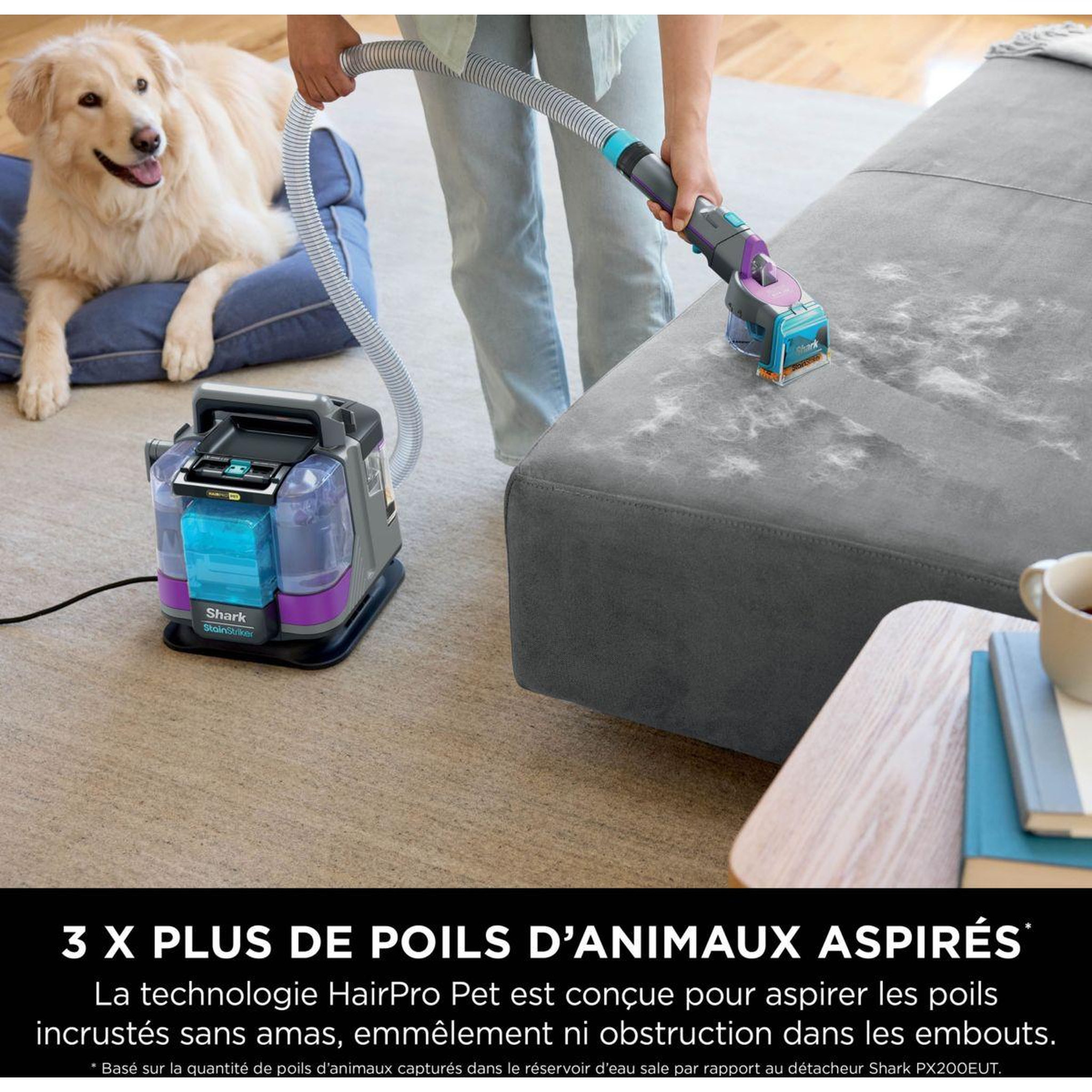 Voir la diapositive 4 : Shark Nettoyeur détacheur StainStriker Hair Pro Pet PX250EUT