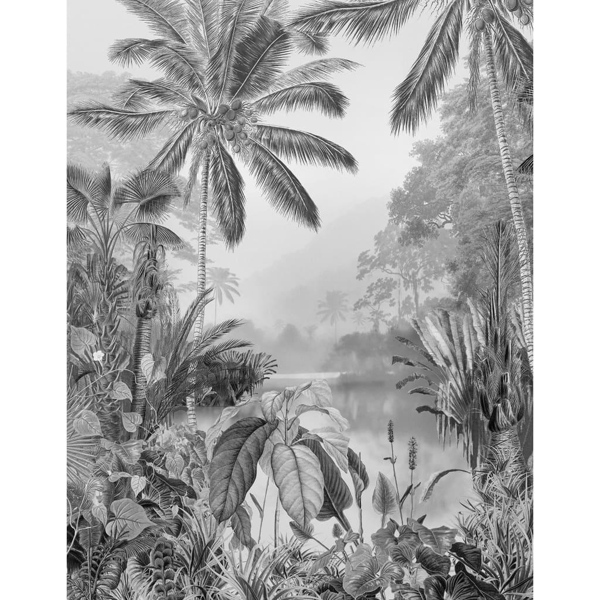 Voir la diapositive 2 : Komar Komar Papier peint photo Lac Tropical Black & White 200x270 cm