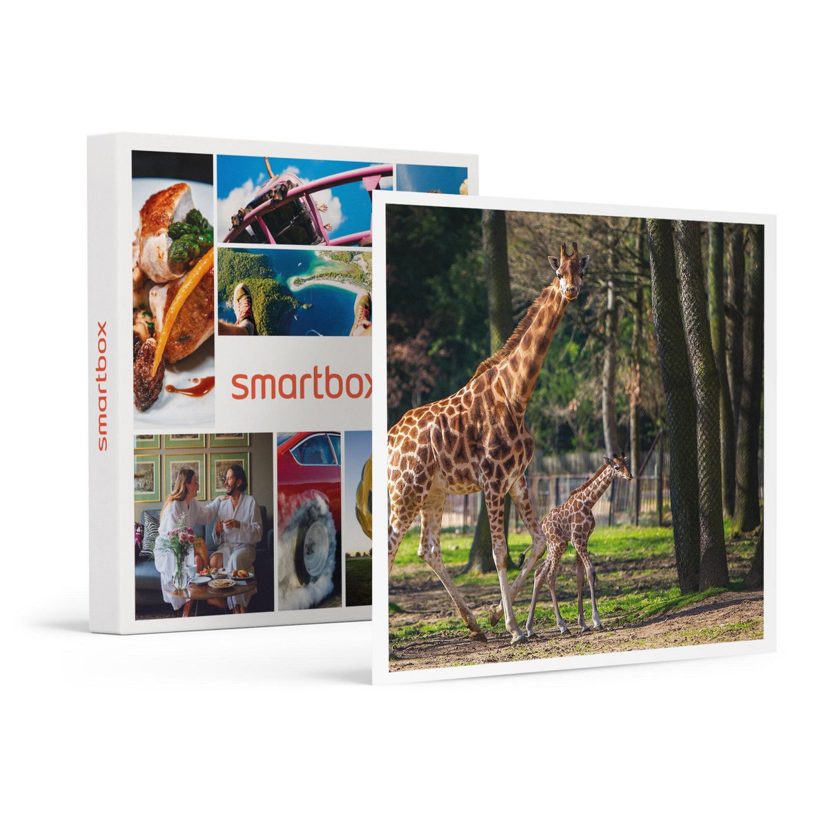 Smartbox Journée zoo en duo : 2 entrées adultes pour le Safari de Peaugres - Coffret Cadeau Sport & Aventure