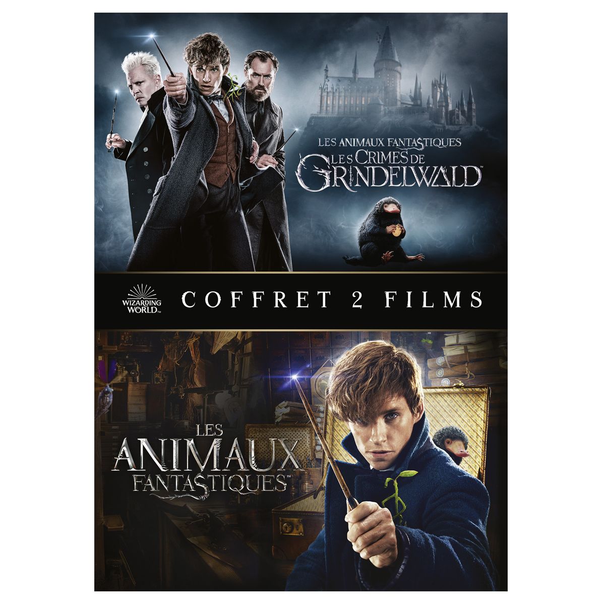Les Animaux Fantastiques 1 & 2 DVD