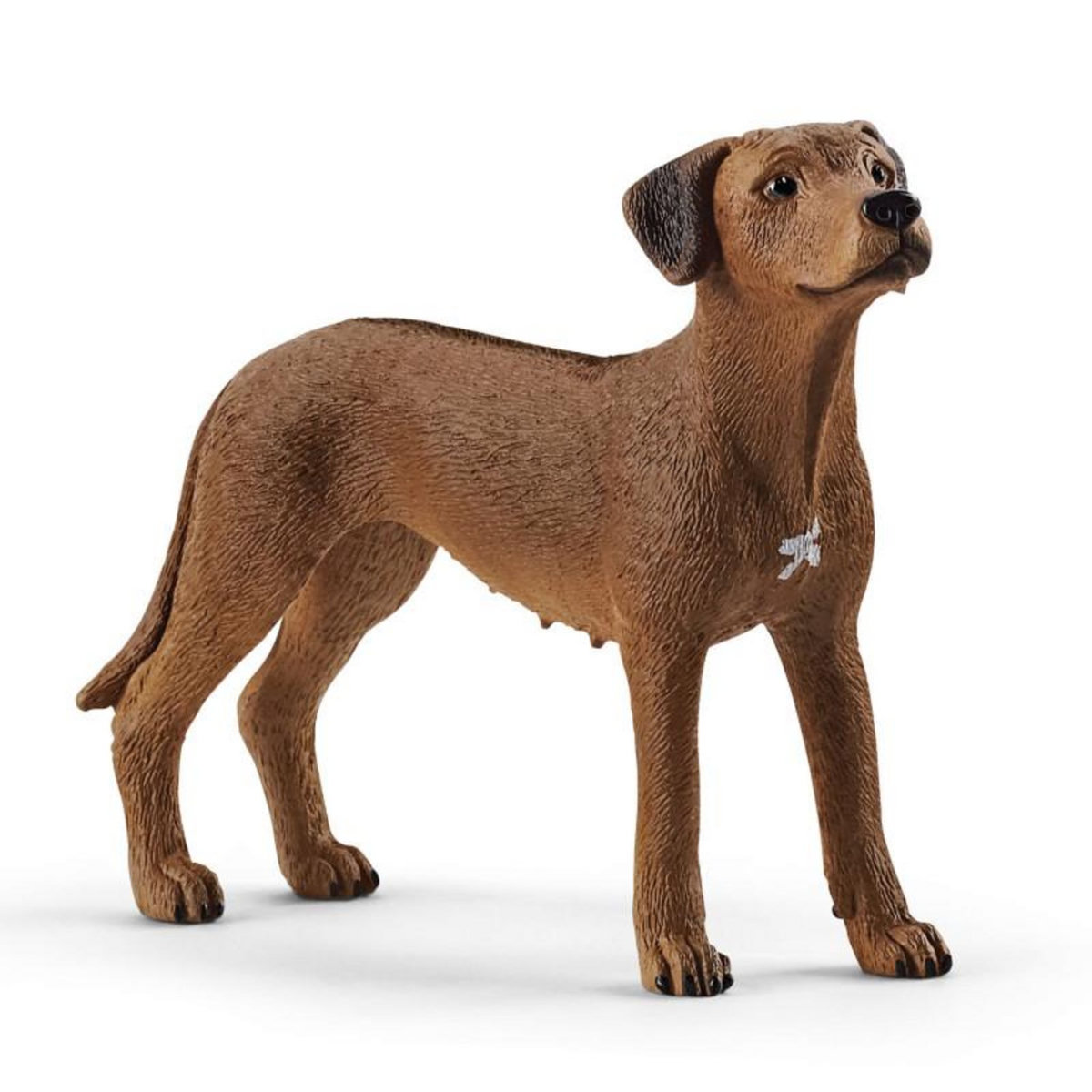 Schleich Schleich Rhodesian Ridgeback