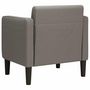 Voir la diapositive 5 : VIDAXL Canape-chaise accoudoirs gris clair 54 cm tissu velours cotele
