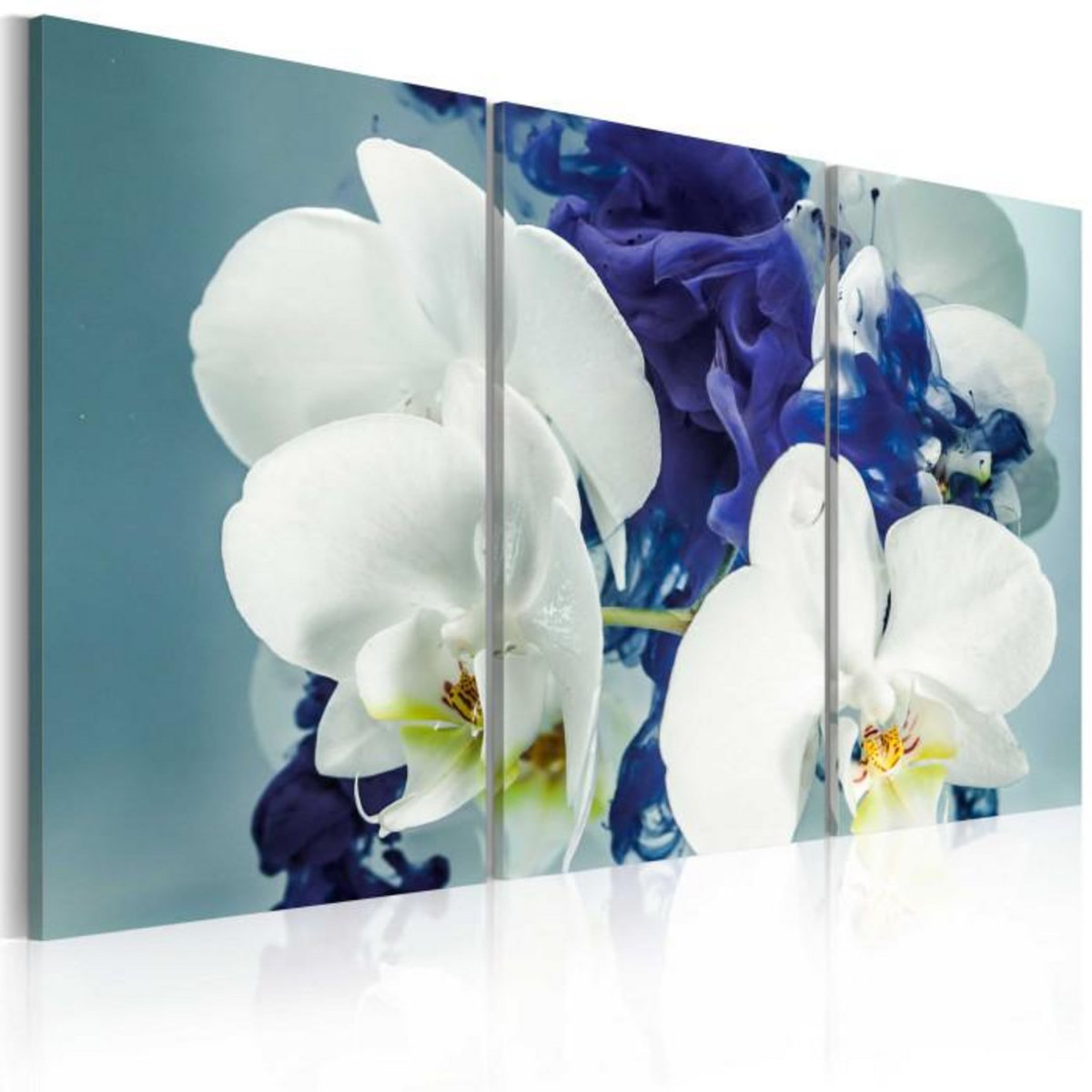 Paris Prix Tableau Imprimé  Orchidées Chimériques