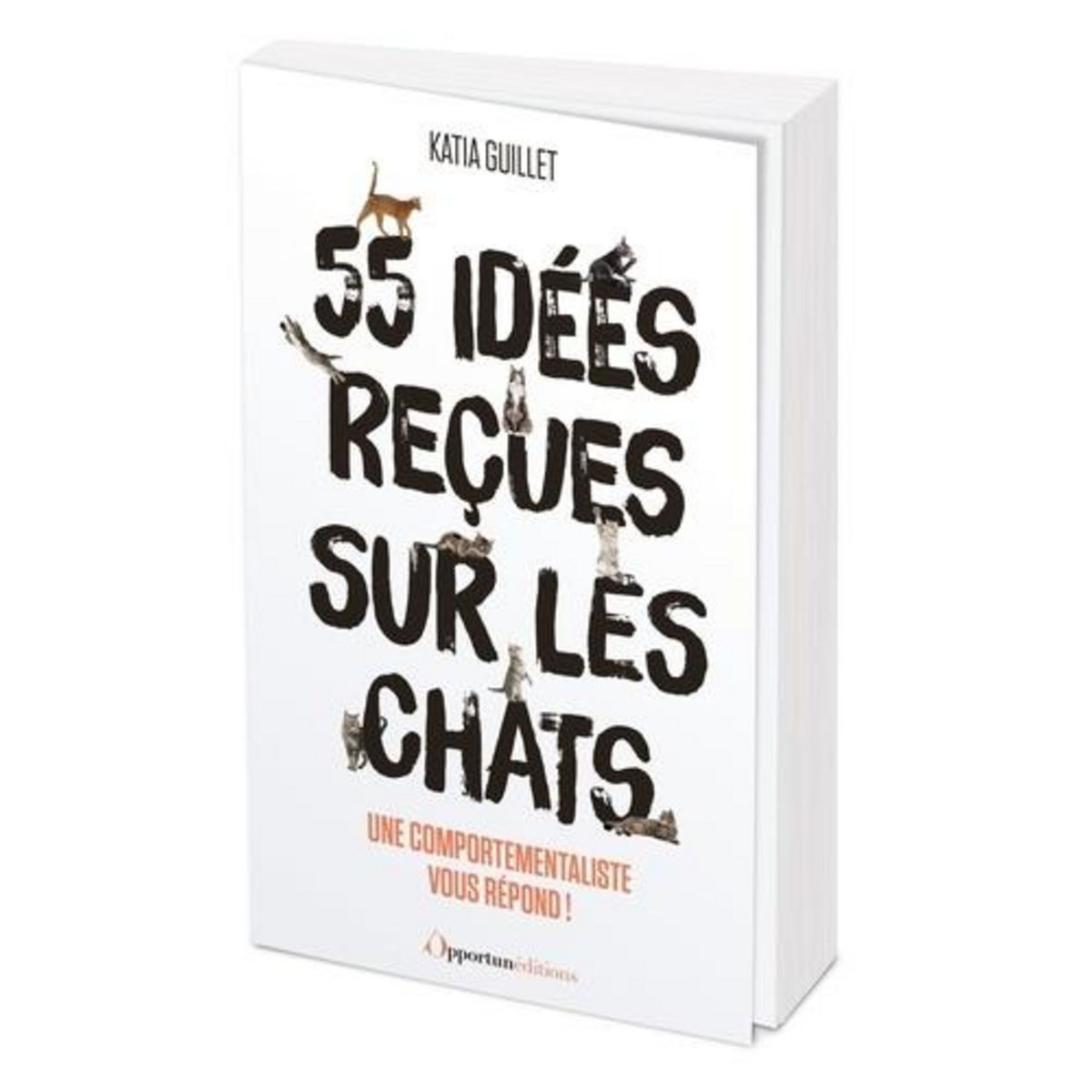 55 IDEES RECUES SUR LES CHATS !, Guillet Katia