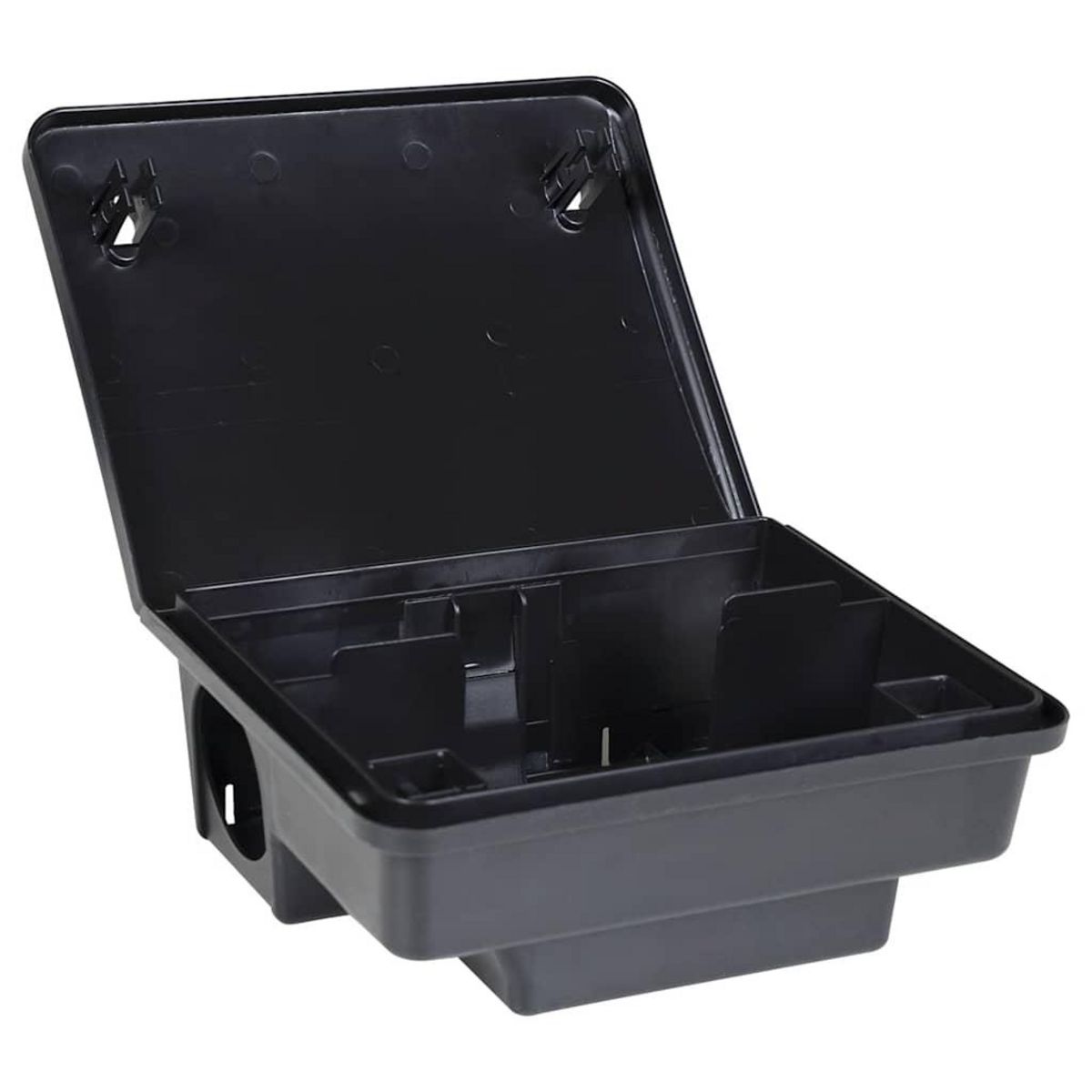 VIDAXL Pieges a souris 6 pcs noir 23x19x9,5 cm