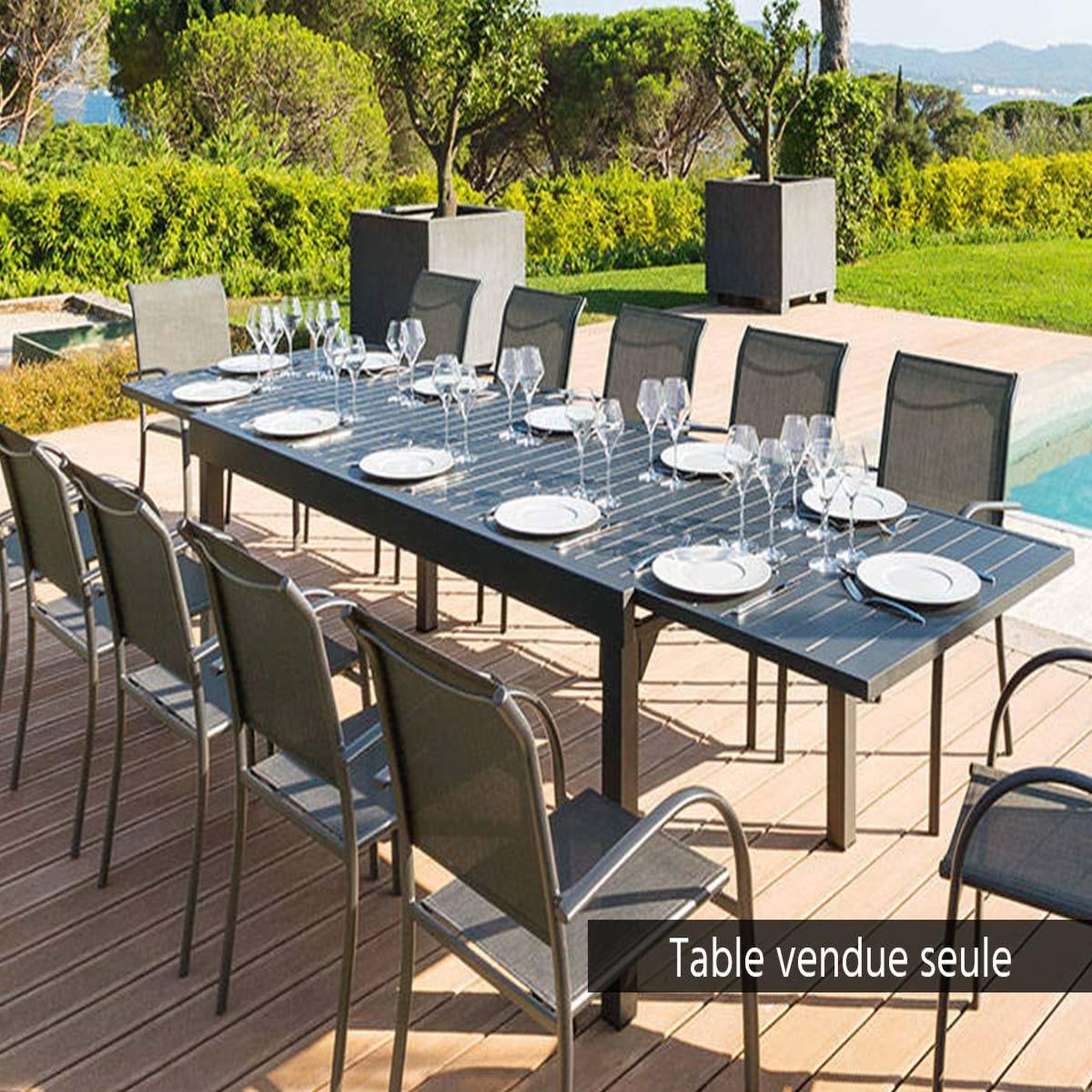 Voir la diapositive 2 : HESPERIDE Table extensible rectangulaire alu Piazza 10/12 places Graphite - Hespéride