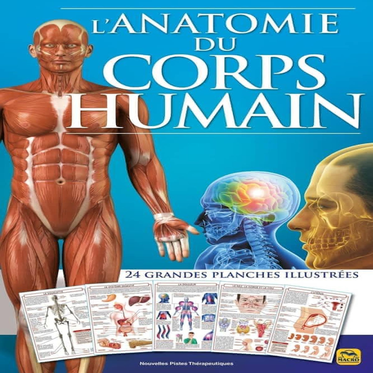 L'ANATOMIE DU CORPS HUMAIN. 24 GRANDES PLANCHES ILLUSTREES, Naccarato Chiara