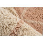 Voir la diapositive 3 : Paris Prix Tapis Tufté à la Main Ethnique  Mylen II  Beige & Rose
