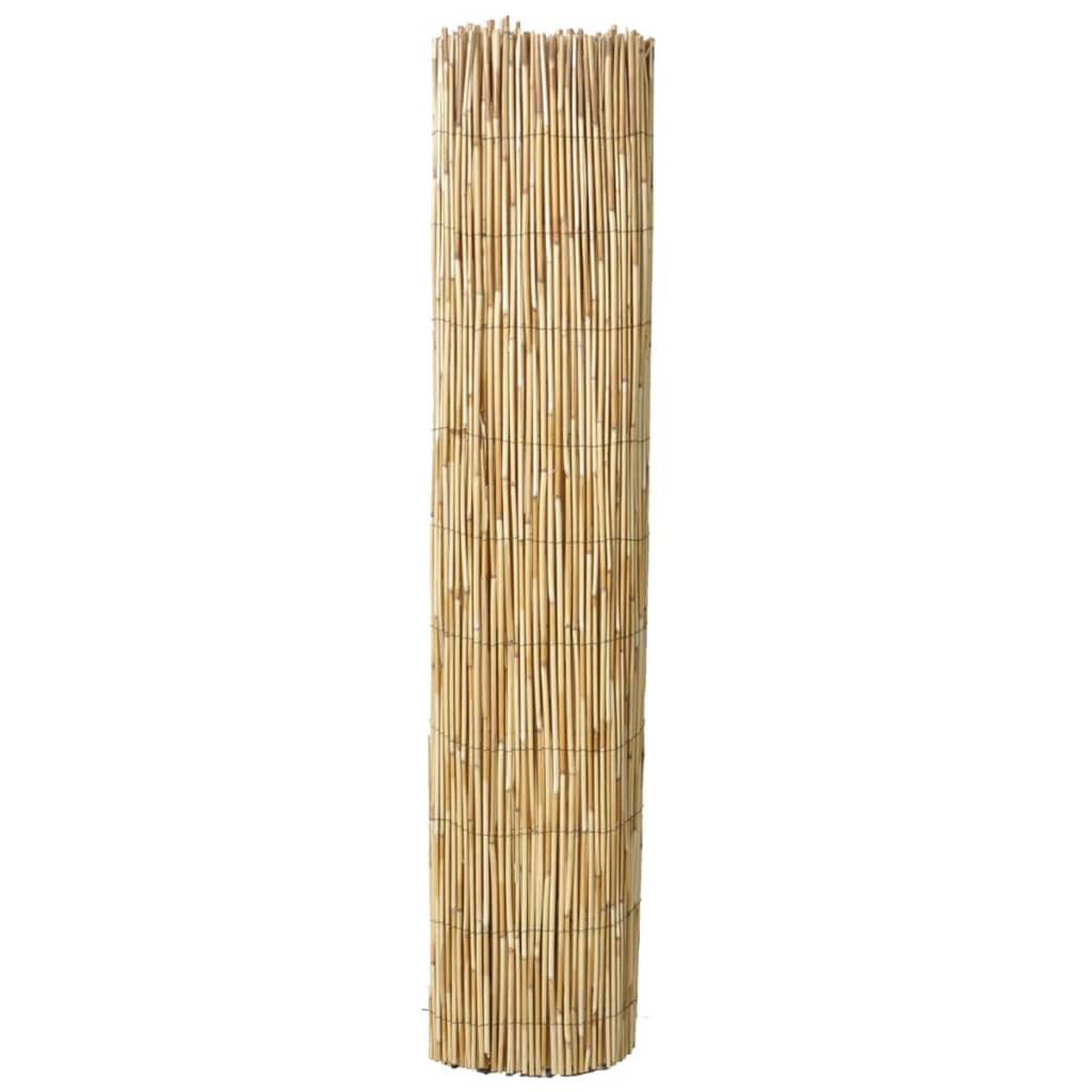 Voir la diapositive 3 : VIDAXL Cloture de jardin en roseau 100x1000 cm
