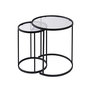 Voir la diapositive 1 : Habitat et Jardin Lot de 2 tables basses en métal  Aurum  - 60 x 60 x 43 cm - Noir Transparent
