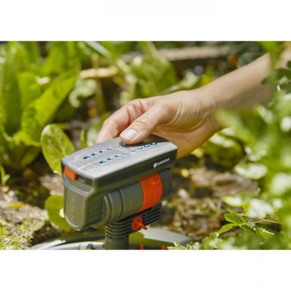 Gardena Arroseur GARDENA  oscillant AquaZoom Compact – Surface 216m² – Portée 18m max – Résistant UV et gel – Garantie 5 ans (